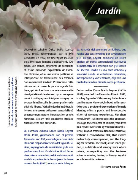 Revista Obrador - Interior Page 3